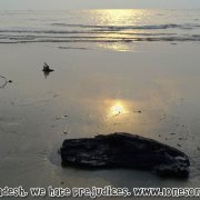 Shuvo Sondha Beach